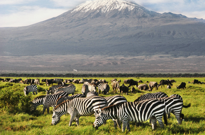 Amboseli