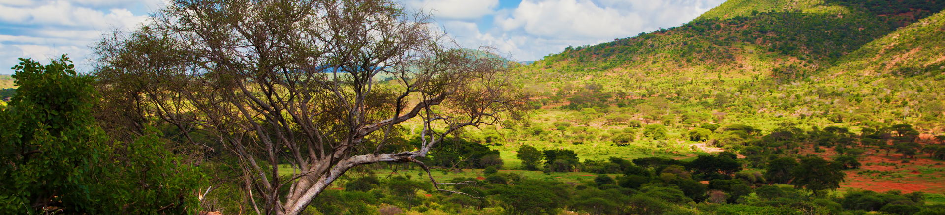 Kenya-Banner