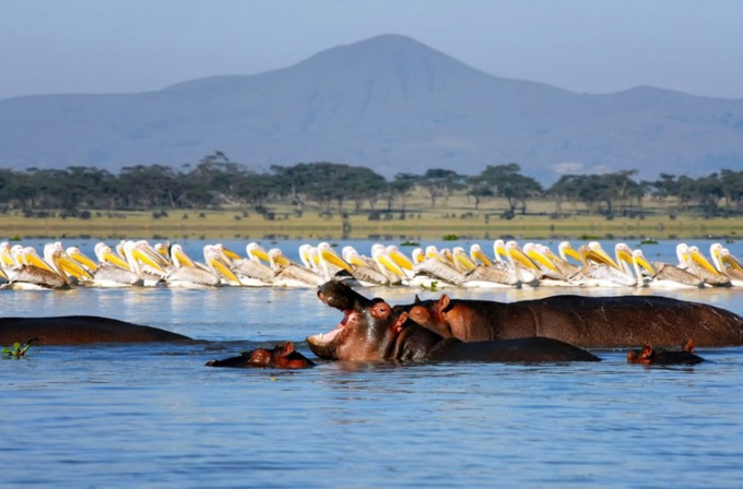 Lake-Naivasha